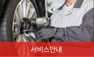 서비스안내